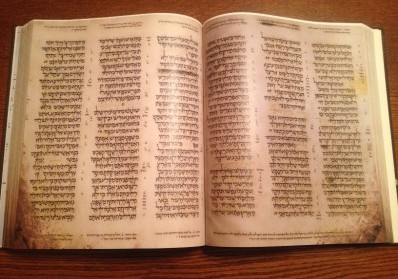 The Importance of Biblical Greek for Biblical Studies blog image