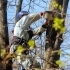 Safe and Efficient Tree Removal Services in the Portland Metro Area small image